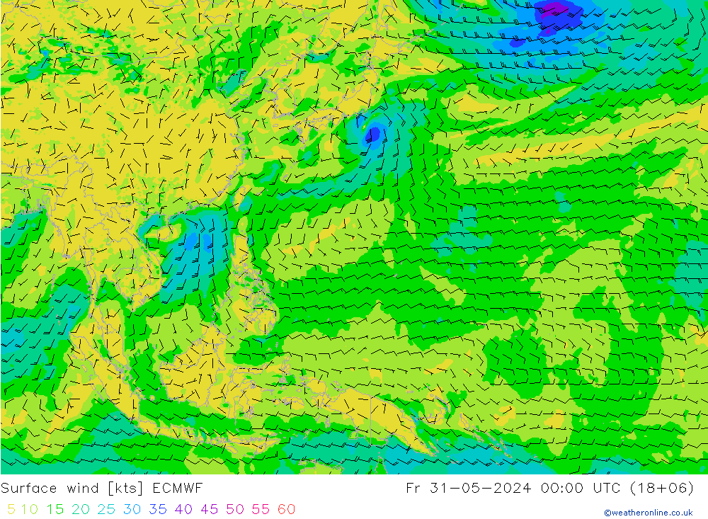 Surface wind ECMWF Fr 31.05.2024 00 UTC