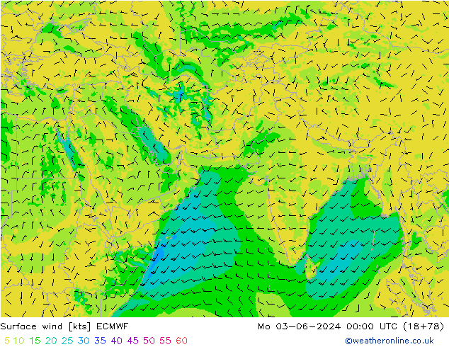 Surface wind ECMWF Mo 03.06.2024 00 UTC