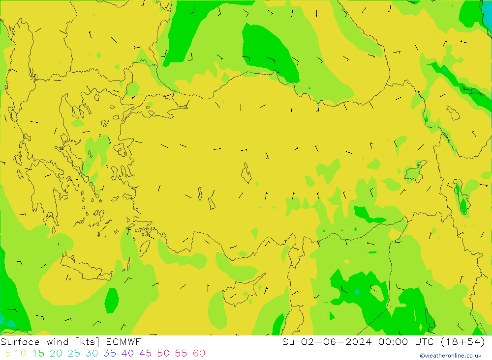 Surface wind ECMWF Su 02.06.2024 00 UTC