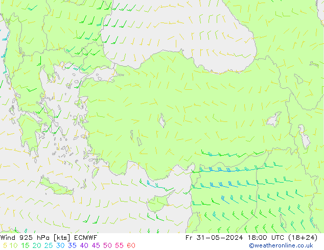 Wind 925 hPa ECMWF vr 31.05.2024 18 UTC