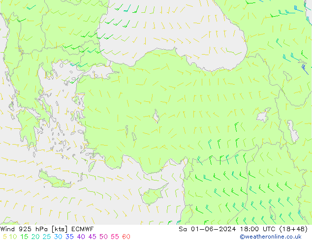 Wind 925 hPa ECMWF Sa 01.06.2024 18 UTC