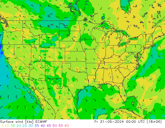 Vento 10 m ECMWF ven 31.05.2024 00 UTC