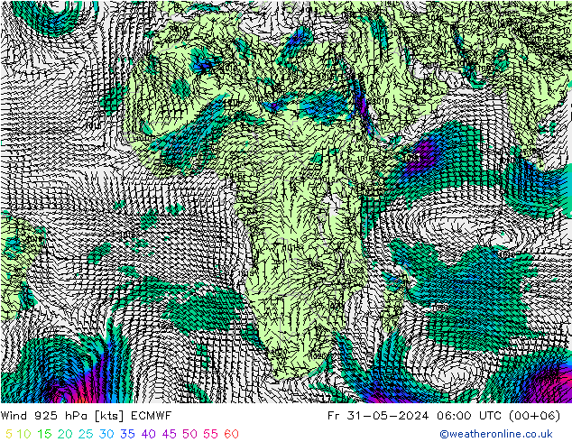 Wind 925 hPa ECMWF vr 31.05.2024 06 UTC