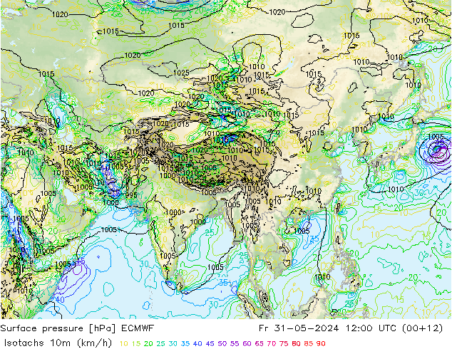  Fr 31.05.2024 12 UTC