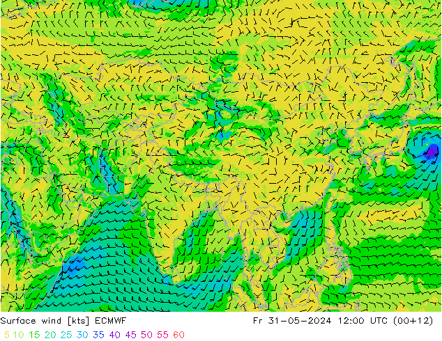 Wind 10 m ECMWF vr 31.05.2024 12 UTC