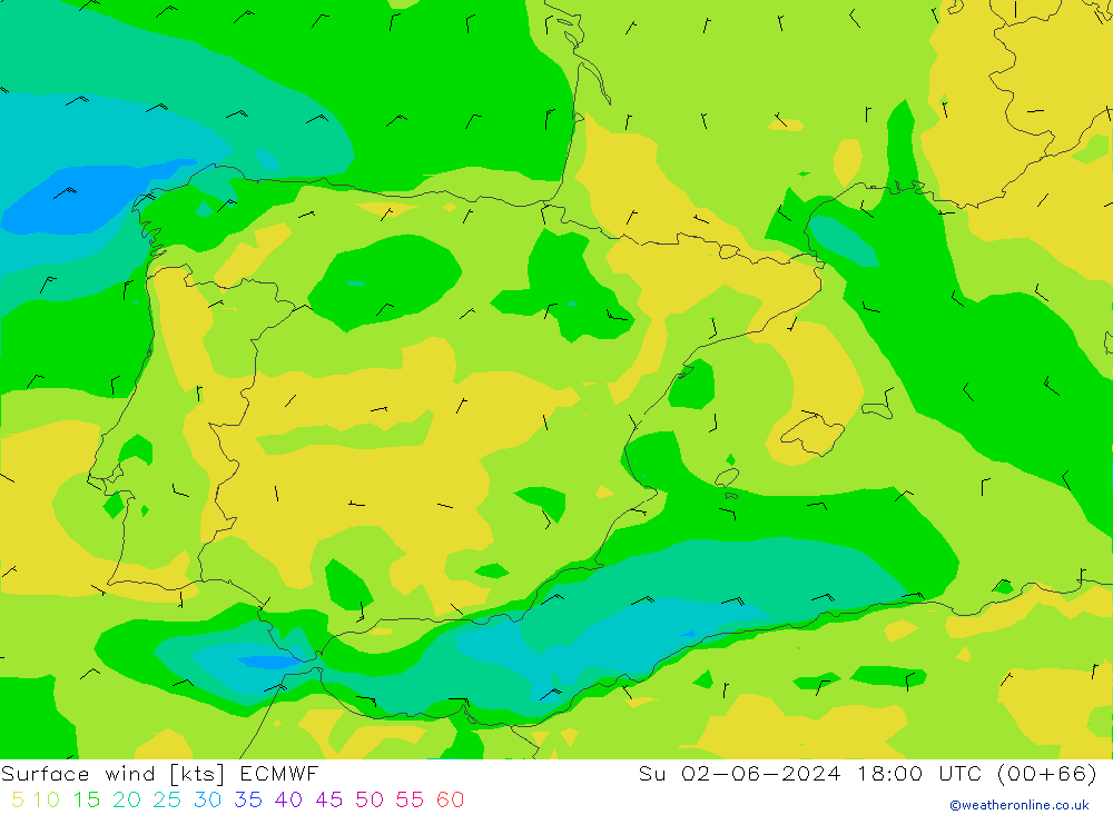 Surface wind ECMWF Su 02.06.2024 18 UTC