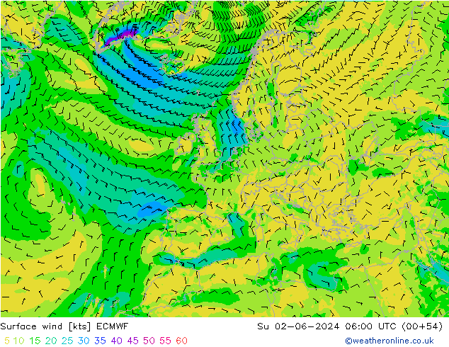 Surface wind ECMWF Ne 02.06.2024 06 UTC