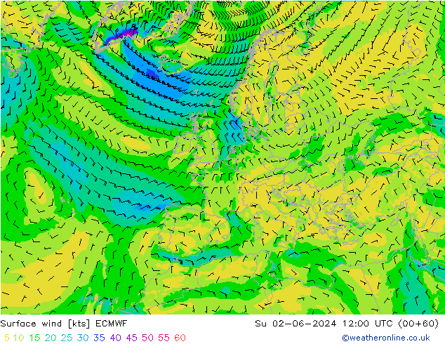 Rüzgar 10 m ECMWF Paz 02.06.2024 12 UTC