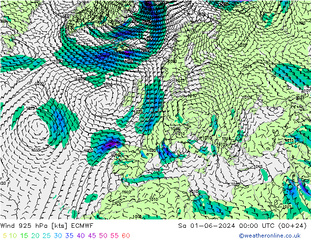 Wind 925 hPa ECMWF So 01.06.2024 00 UTC