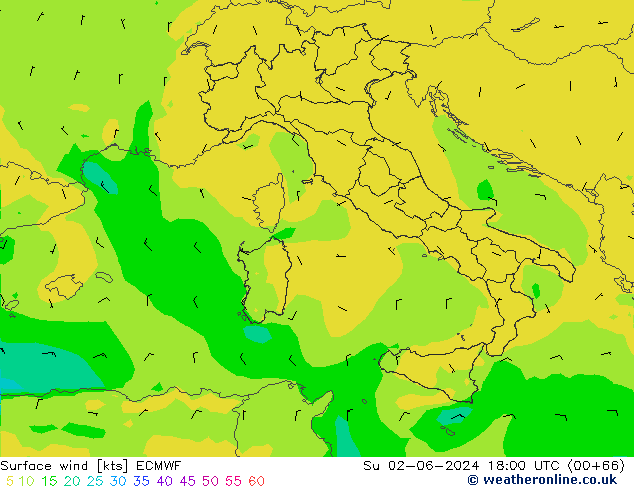 ветер 10 m ECMWF Вс 02.06.2024 18 UTC