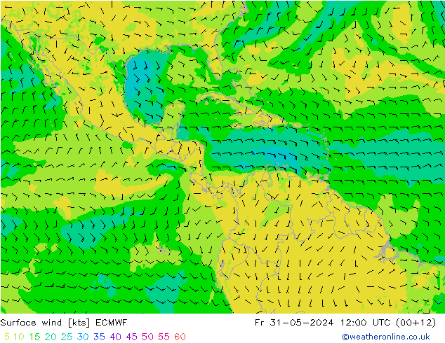 Rüzgar 10 m ECMWF Cu 31.05.2024 12 UTC