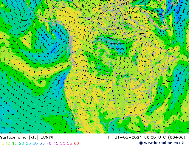 Bodenwind ECMWF Fr 31.05.2024 06 UTC