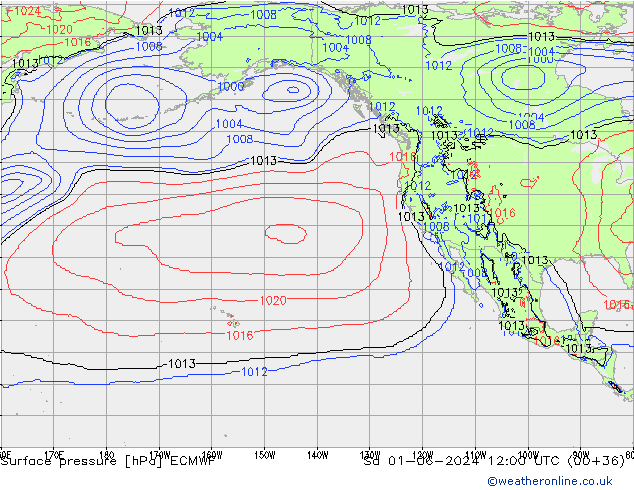 Luchtdruk (Grond) ECMWF za 01.06.2024 12 UTC