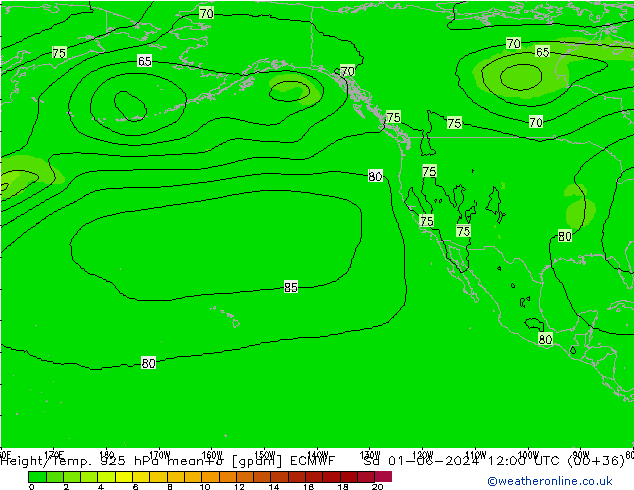 Yükseklik/Sıc. 925 hPa ECMWF Cts 01.06.2024 12 UTC