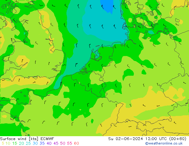 Surface wind ECMWF Su 02.06.2024 12 UTC