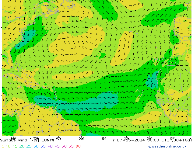 Vent 10 m ECMWF ven 07.06.2024 00 UTC