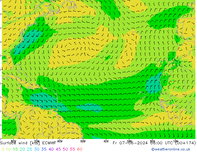 Viento 10 m ECMWF vie 07.06.2024 06 UTC