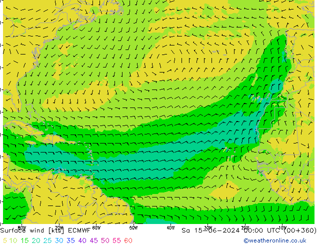 ветер 10 m ECMWF сб 15.06.2024 00 UTC