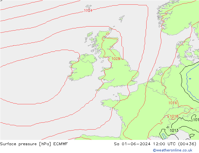 Surface pressure ECMWF Sa 01.06.2024 12 UTC