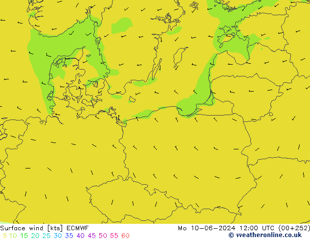 Surface wind ECMWF Po 10.06.2024 12 UTC