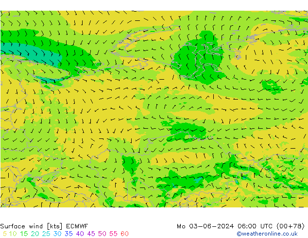 Wind 10 m ECMWF ma 03.06.2024 06 UTC