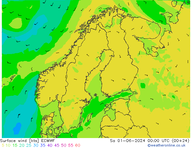 Bodenwind ECMWF Sa 01.06.2024 00 UTC