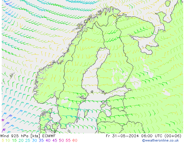 Wind 925 hPa ECMWF vr 31.05.2024 06 UTC