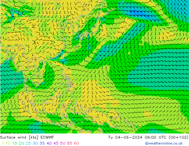 Wind 10 m ECMWF di 04.06.2024 06 UTC