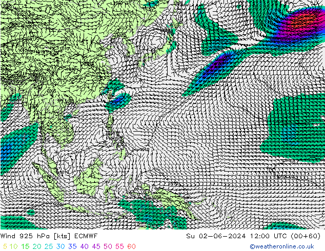 Wind 925 hPa ECMWF Su 02.06.2024 12 UTC