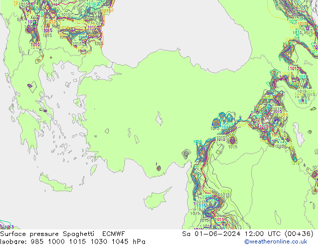     Spaghetti ECMWF  01.06.2024 12 UTC