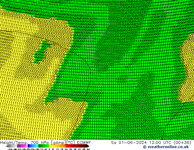 Height/Temp. 700 hPa ECMWF  01.06.2024 12 UTC