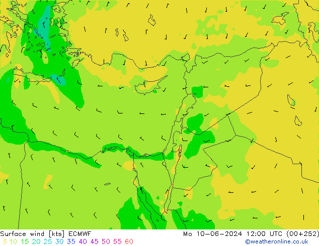  10 m ECMWF  10.06.2024 12 UTC