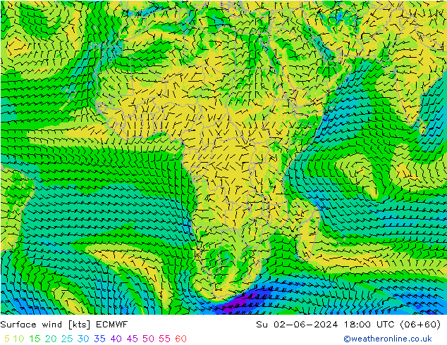 Wind 10 m ECMWF zo 02.06.2024 18 UTC