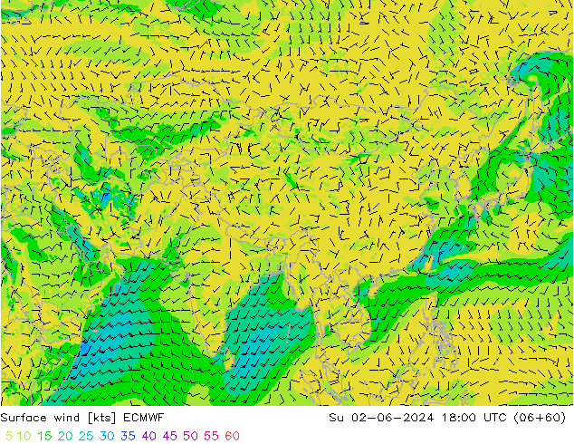 Surface wind ECMWF Su 02.06.2024 18 UTC