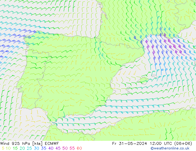 wiatr 925 hPa ECMWF pt. 31.05.2024 12 UTC