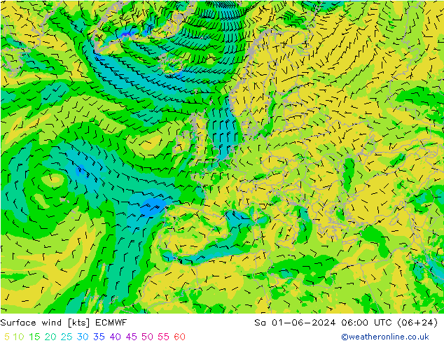 风 10 米 ECMWF 星期六 01.06.2024 06 UTC