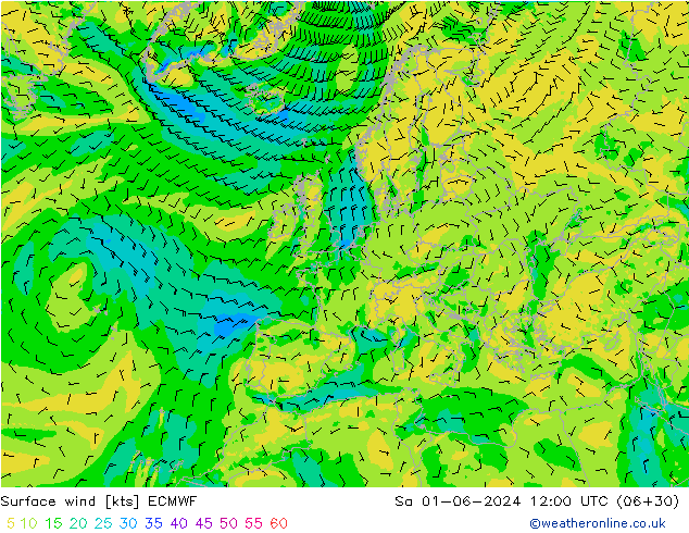 Surface wind ECMWF Sa 01.06.2024 12 UTC