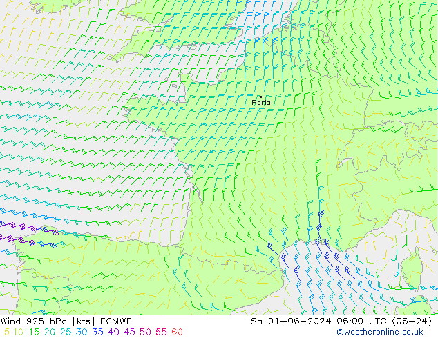 wiatr 925 hPa ECMWF so. 01.06.2024 06 UTC