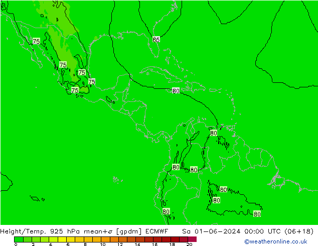 Height/Temp. 925 hPa ECMWF Sa 01.06.2024 00 UTC