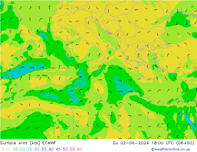 Surface wind ECMWF Su 02.06.2024 18 UTC