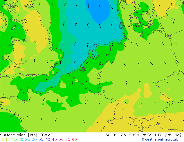 Surface wind ECMWF Su 02.06.2024 06 UTC