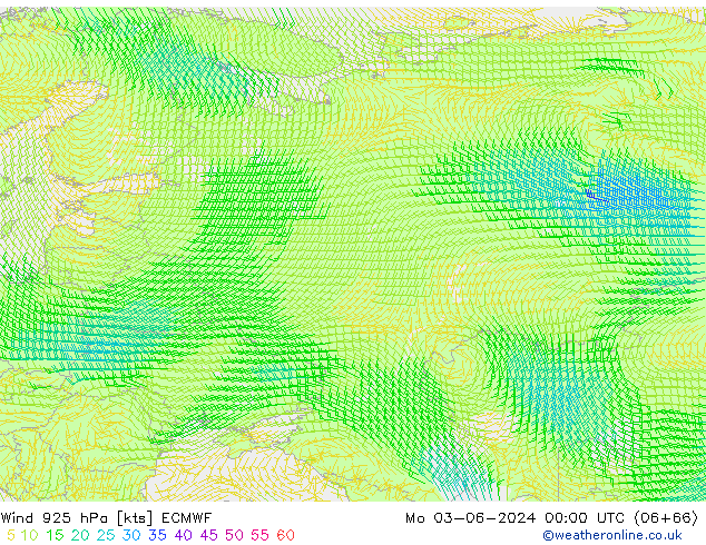 ветер 925 гПа ECMWF пн 03.06.2024 00 UTC