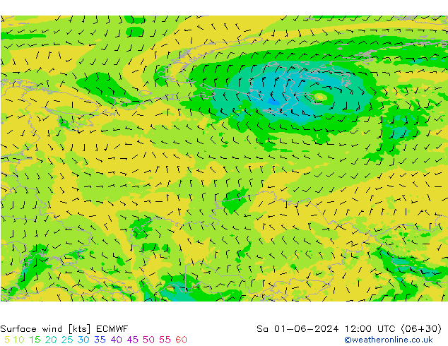 Surface wind ECMWF Sa 01.06.2024 12 UTC