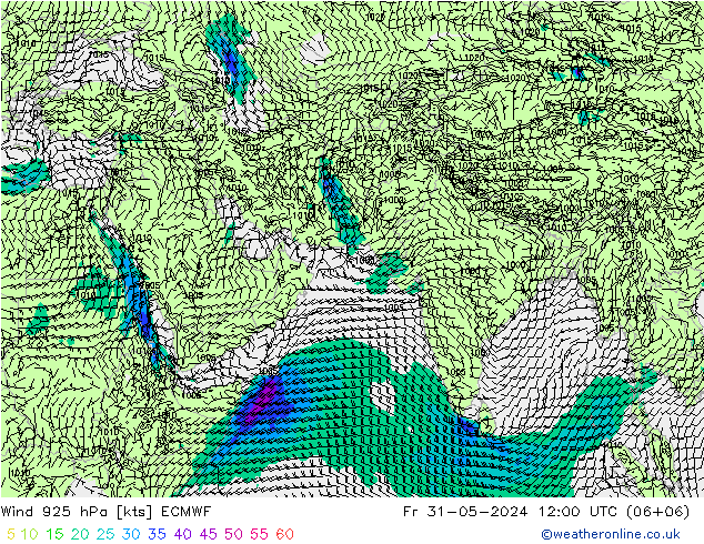 Wind 925 hPa ECMWF Fr 31.05.2024 12 UTC