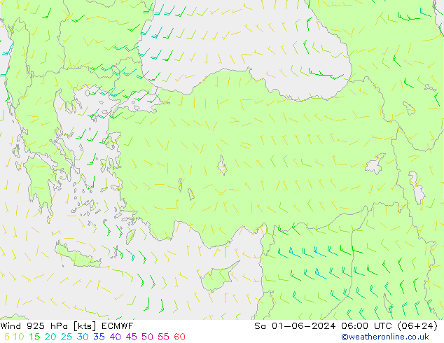 Wind 925 hPa ECMWF Sa 01.06.2024 06 UTC