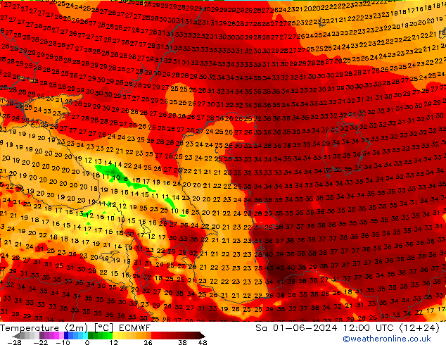 Temperature (2m) ECMWF Sa 01.06.2024 12 UTC