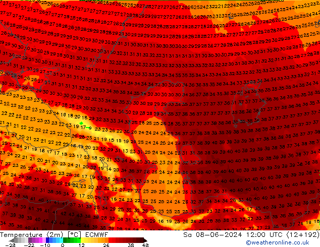 Temperaturkarte (2m) ECMWF Sa 08.06.2024 12 UTC
