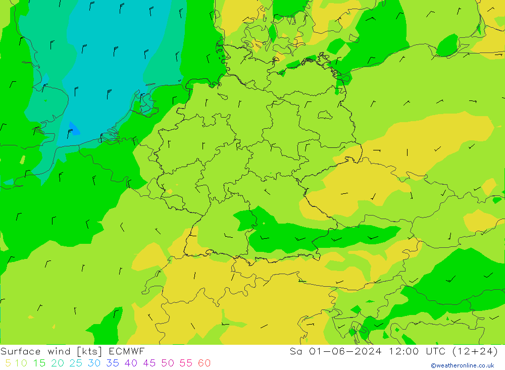 Vent 10 m ECMWF sam 01.06.2024 12 UTC