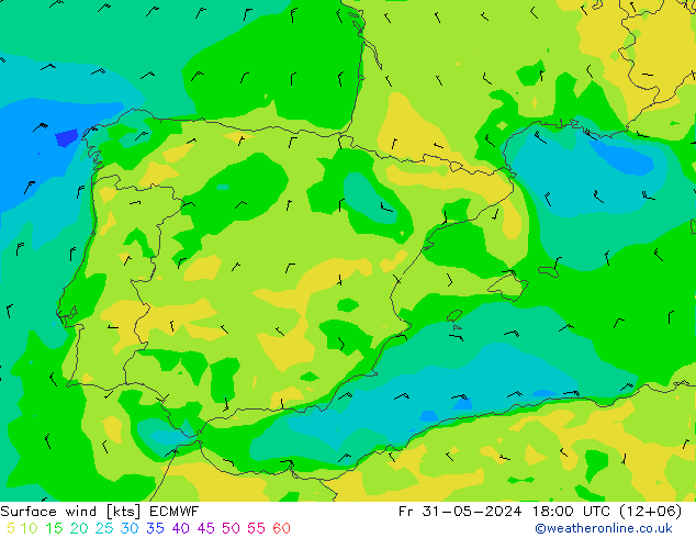  10 m ECMWF  31.05.2024 18 UTC