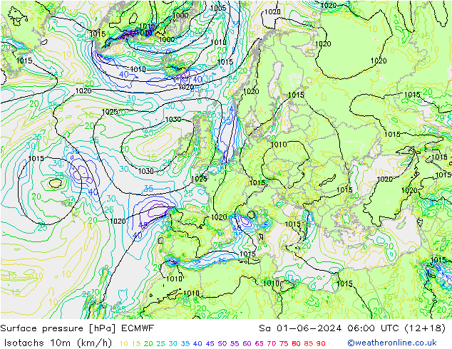 Izotacha (km/godz) ECMWF so. 01.06.2024 06 UTC